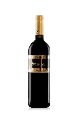 VINO D.O RIBERA DEL DUERO EL SALEGAR TINTO CRIANZA